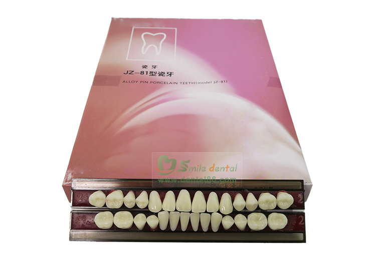 Alloy Pin Porcelain Teeth